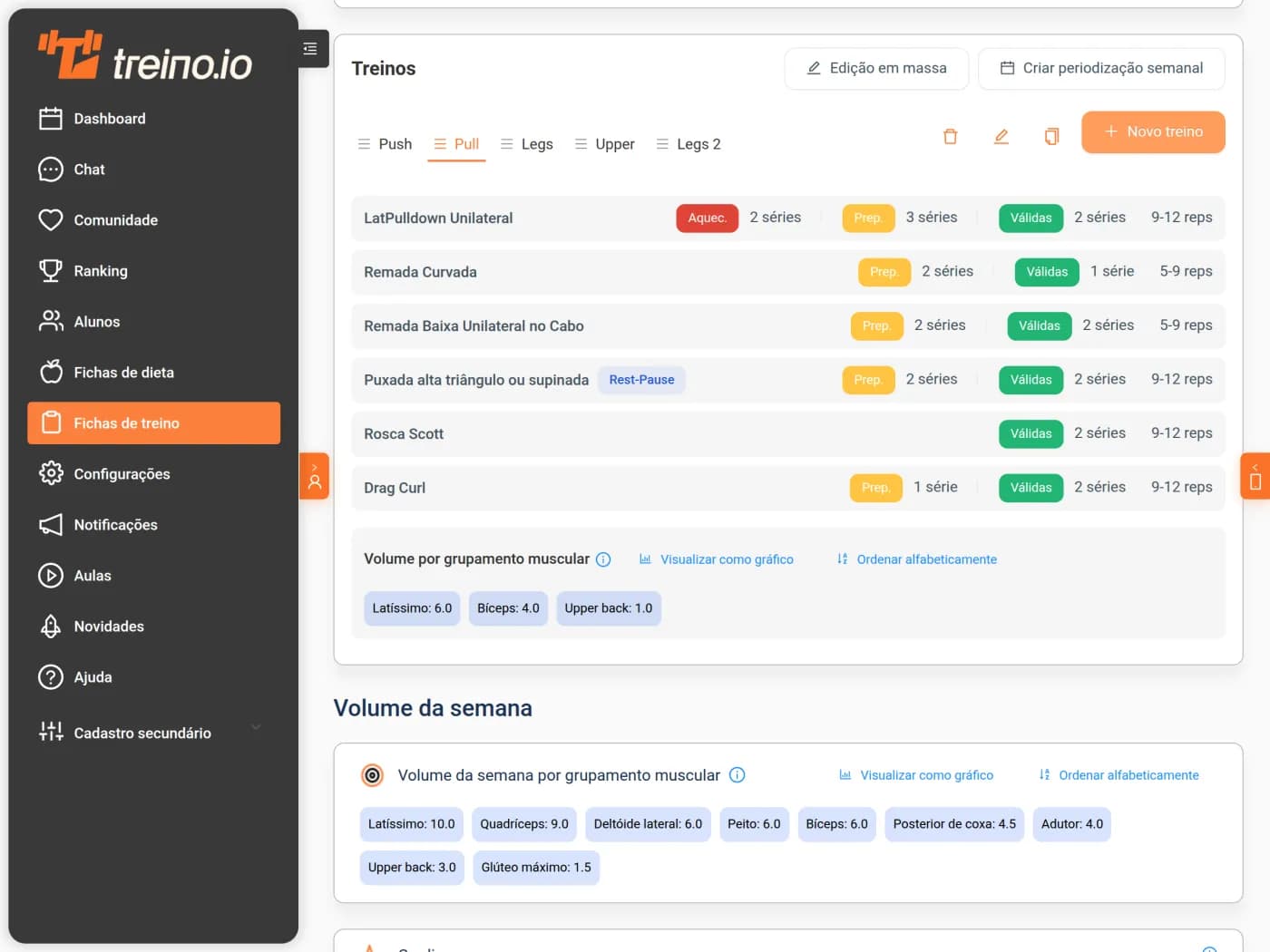 Tela de fichas de treino do treino.io, com séries válidas, repetições e volume por grupamento muscular